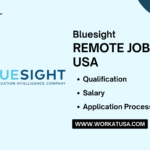 Bluesight Remote Jobs USA