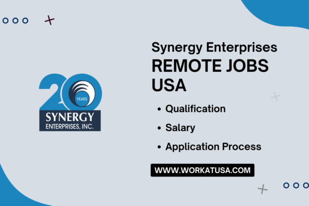Synergy Enterprises Remote Jobs USA