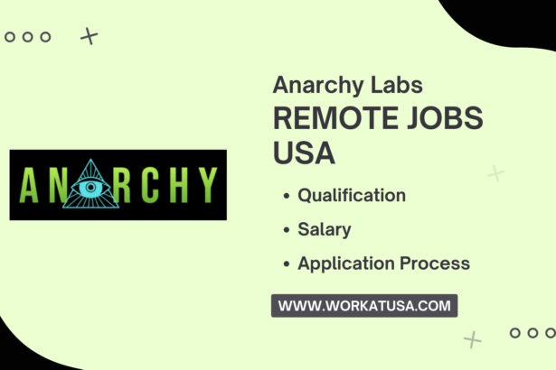 Anarchy Labs Remote Jobs USA